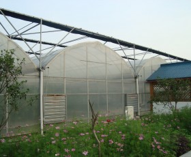 連棟薄膜溫室